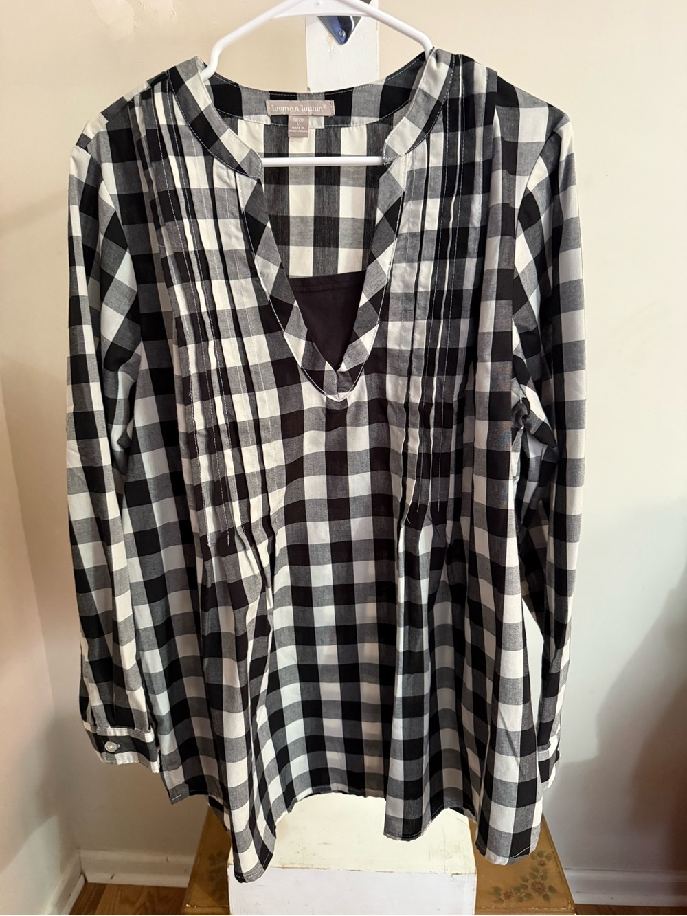 New Woman Within Gingham Shirt